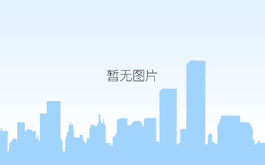 公司簡介