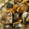 醃蛤蠣