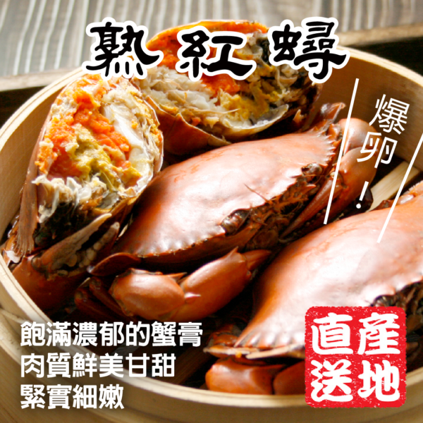 熟紅蟳
